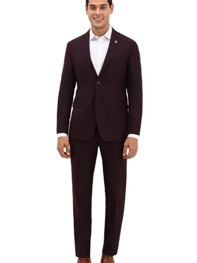 Allen Solly Men Maroon Slim Fit Check Formal Two Piece Suit